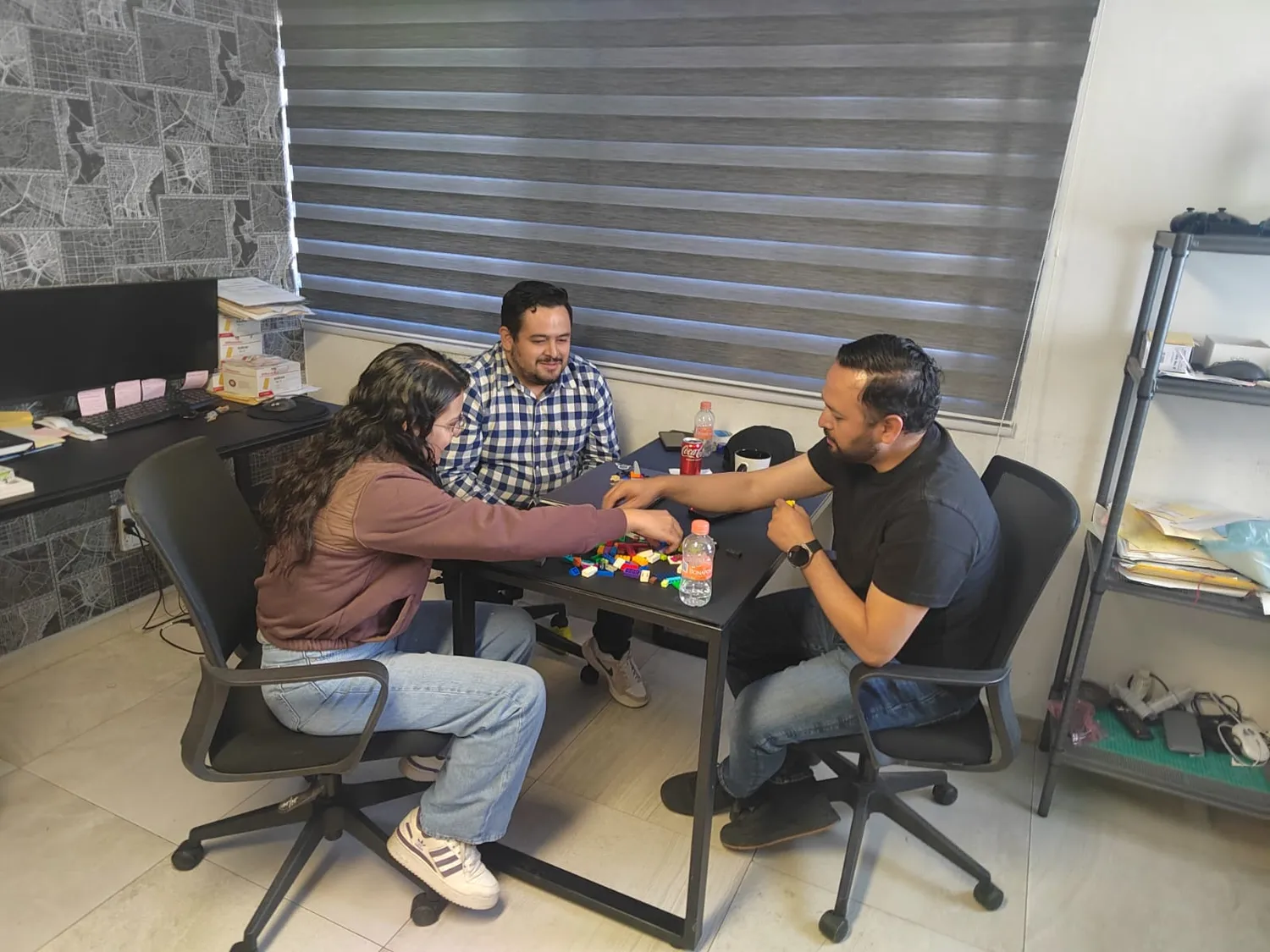 Sesión de consultoría PRIPER
