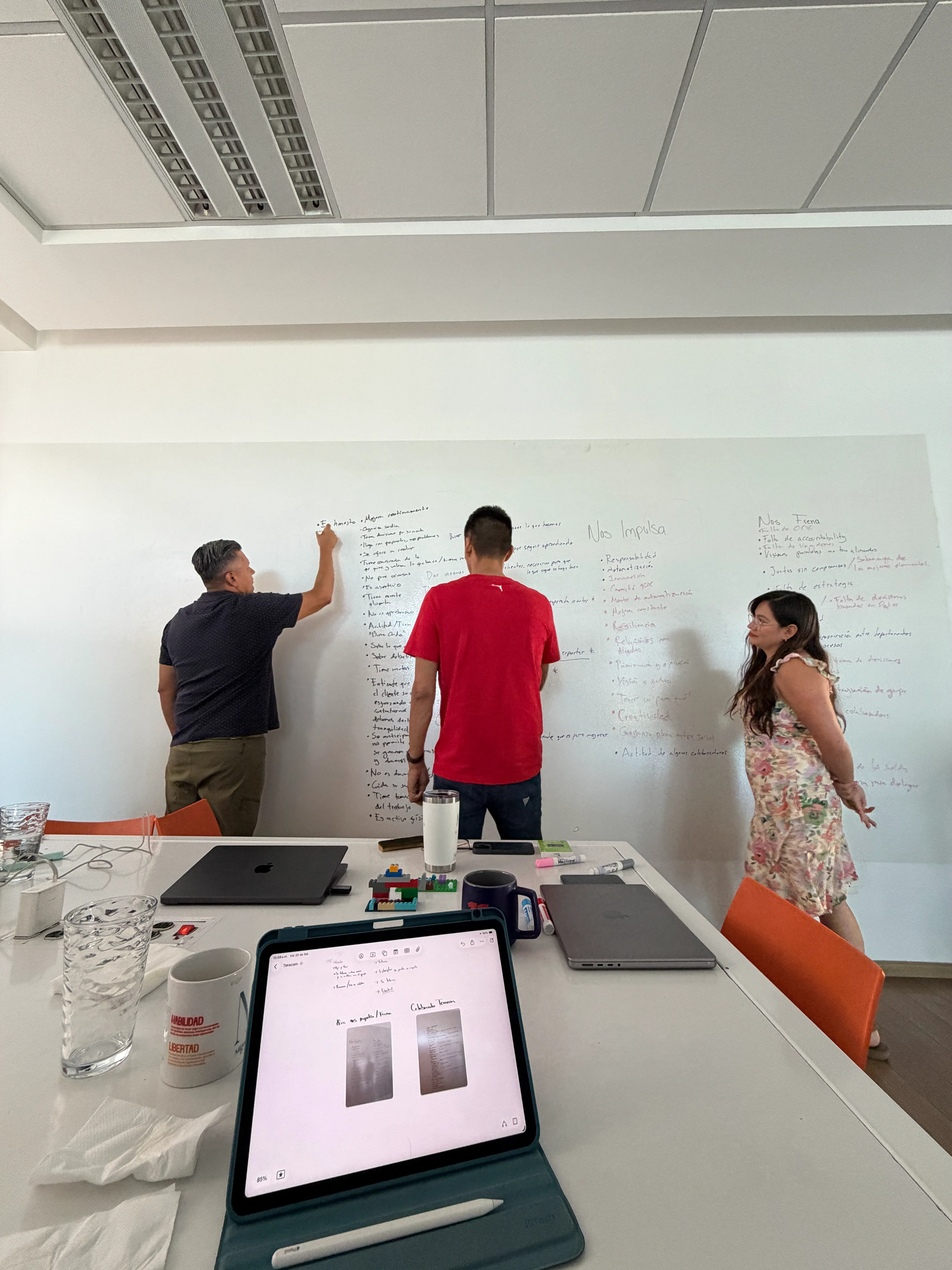 Consultoría especializada PRIPER