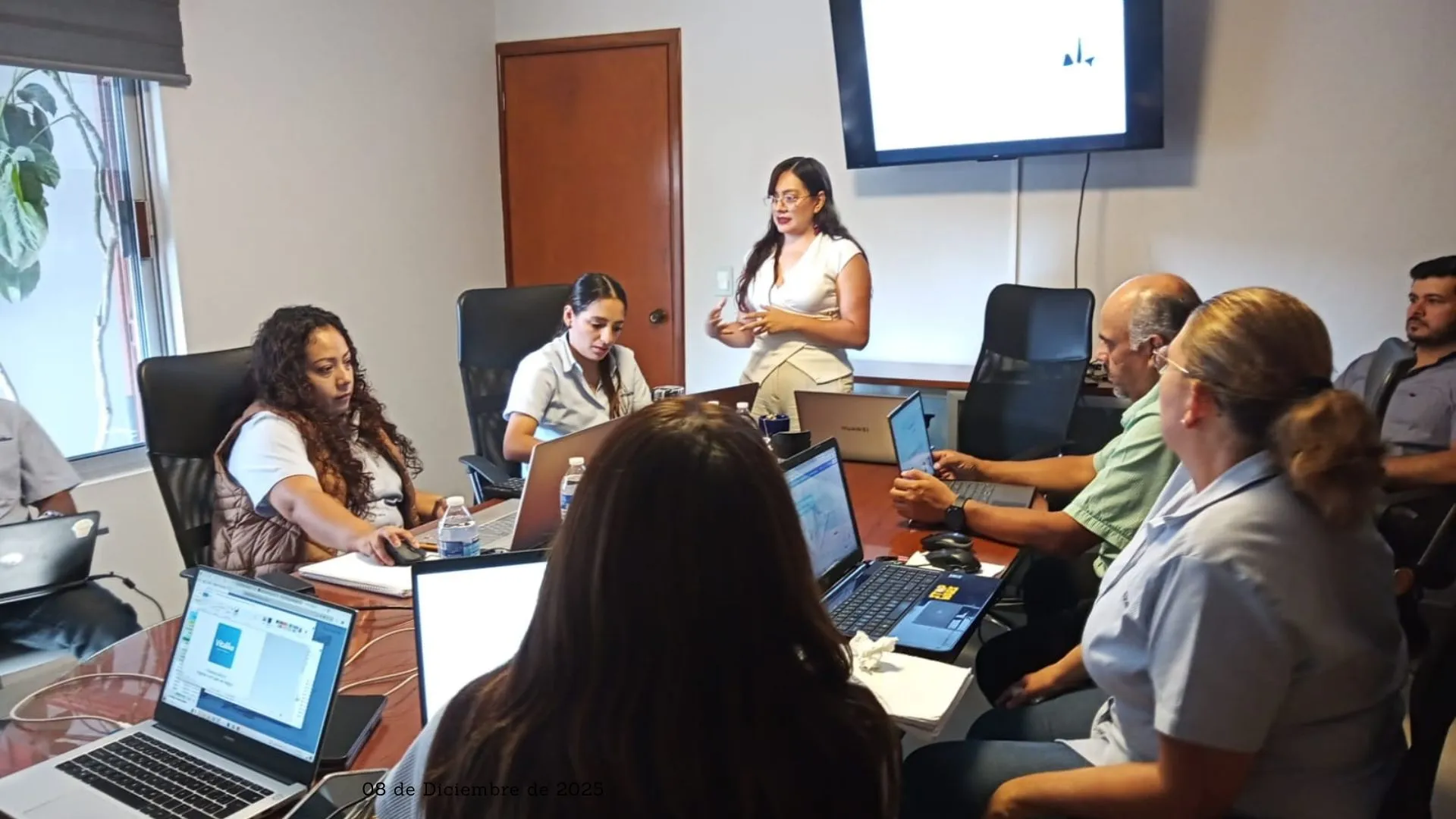 Consultoría especializada PRIPER